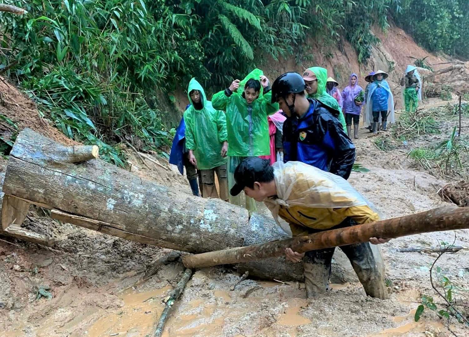 Thanh niên thôn Đăk Bối sẽ đảm nhận phần việc nặng nhọc là cắt cây và di chuyển ra khỏi mặt đường. (Ảnh: Ngọc Chí)